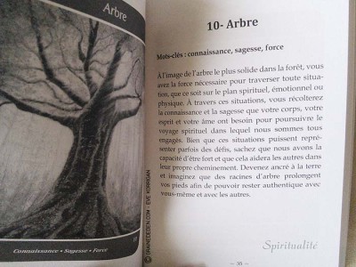 L'Oracle de l'âme intuitive de Lisa Williams - Review et présentation de cartes oracle - Graine d'Eden - Développement personnel, spiritualité, guidance, oracles et tarots divinatoires