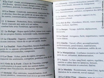 L'Oracle des Reflets de Célia Melesville - Review et présentation de cartes oracle - Graine d'Eden - Développement personnel, spiritualité, guidance, oracles et tarots divinatoires