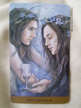 Tarot du Royaume Caché de Barbara Moore et Julia Jeffrey - Review et présentation de Tarots divinatoires - Graine d'Eden - Développement personnel, spiritualité, guidance, oracles et tarots divinatoires