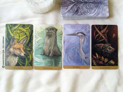 Tarot du Royaume Caché de Barbara Moore et Julia Jeffrey - Review et présentation de Tarots divinatoires - Graine d'Eden - Développement personnel, spiritualité, guidance, oracles et tarots divinatoires