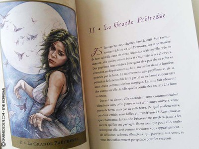 Tarot du Royaume Caché de Barbara Moore et Julia Jeffrey - Review et présentation de Tarots divinatoires - Graine d'Eden - Développement personnel, spiritualité, guidance, oracles et tarots divinatoires