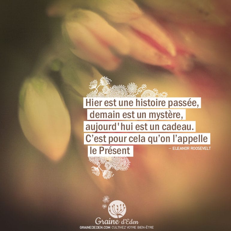 Hier est une histoire passée, demain est un mystère, aujourd'hui est un cadeau. C'est pour cela qu'on l'appelle le Présent. ELEANOR ROOSEVELT - Graine d'Eden Citation