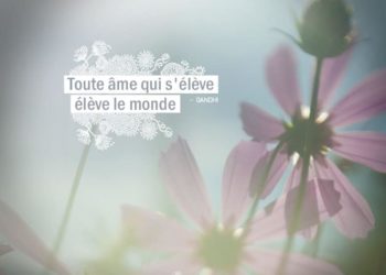 Toute âme qui s'élève, élève le monde. GANDHI - Graine d'Eden Citation