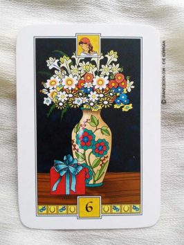 Le Tarot Divinatoire La Bonne Aventure de Lady Lorelei - Graine d'Eden Développement personnel, spiritualité, guidance, oracles et tarots divinatoires - La bibliothèque des Oracles