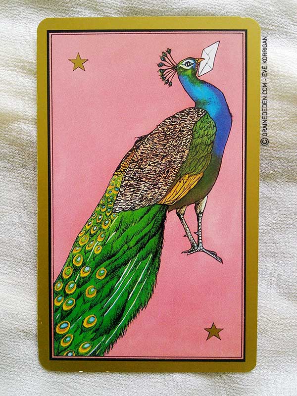 Le Tarot Persan de Madame Indira cartes : Avis et review