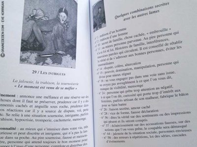 L'Oracle Bleu de Sylvie Breysse et Didier Doryan - Graine d'Eden Développement personnel, spiritualité, guidance, oracles et tarots divinatoires - La bibliothèque des Oracles