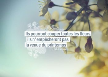 Ils pourront couper toutes les fleurs, ils n'empêcheront pas la venue du printemps. PABLO NERUDA - Graine d'Eden Citation