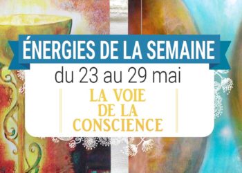 23 au 29 mai - Votre énergie de la semaine avec les cartes La Voie de la Conscience de Marisa Ortolan et Eve Fouquet - Quelle sera votre énergie cette semaine - Graine d'Eden tarot et oracle divinatoires