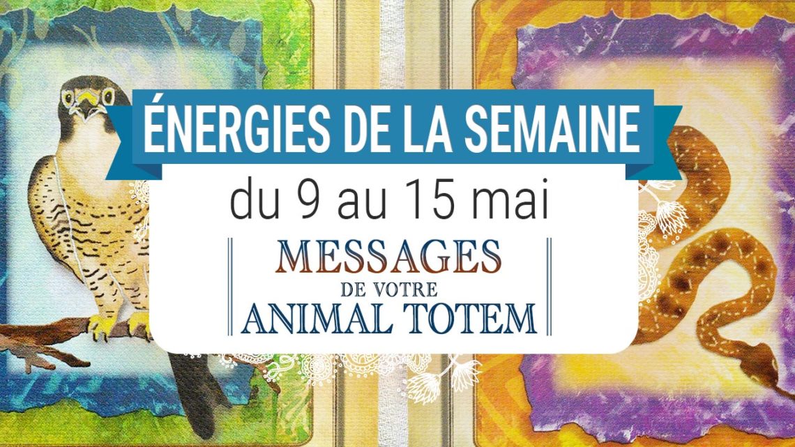 9 au 15 mai - Votre énergie de la semaine avec les cartes Messages de votre Animal Totem de Steven D. Farmer - Quelle sera votre énergie cette semaine - Graine d'Eden tarot et oracle divinatoires