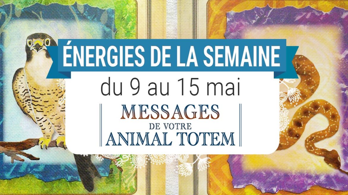 9 au 15 mai - Votre énergie de la semaine avec les cartes Messages de votre Animal Totem de Steven D. Farmer - Quelle sera votre énergie cette semaine - Graine d'Eden tarot et oracle divinatoires