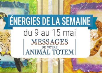 9 au 15 mai - Votre énergie de la semaine avec les cartes Messages de votre Animal Totem de Steven D. Farmer - Quelle sera votre énergie cette semaine - Graine d'Eden tarot et oracle divinatoires