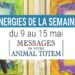 9 au 15 mai - Votre énergie de la semaine avec les cartes Messages de votre Animal Totem de Steven D. Farmer - Quelle sera votre énergie cette semaine - Graine d'Eden tarot et oracle divinatoires