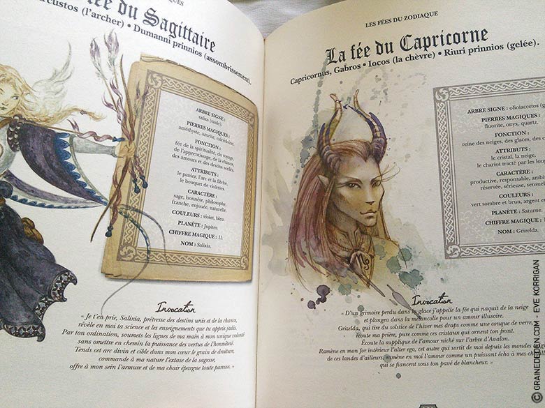 La Grande Bible des Fées de Edouerd Brasey - Graine d'Eden Tarots, Oracles divinatoires - Livres de développement personnel, spritualité