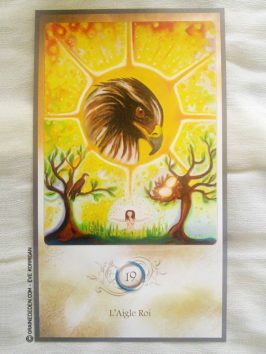 Le Cercle d'Alliance de Béatrice Lhériteau - Graine d'Eden Développement personnel, spiritualité, guidance, oracles, jeux et tarots divinatoires - La bibliothèque des Tarots