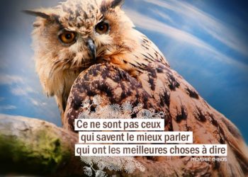 Ce ne sont pas ceux qui savent le mieux parler qui ont les meilleures choses à dire. PROVERBE CHINOIS - Graine d'Eden Citation