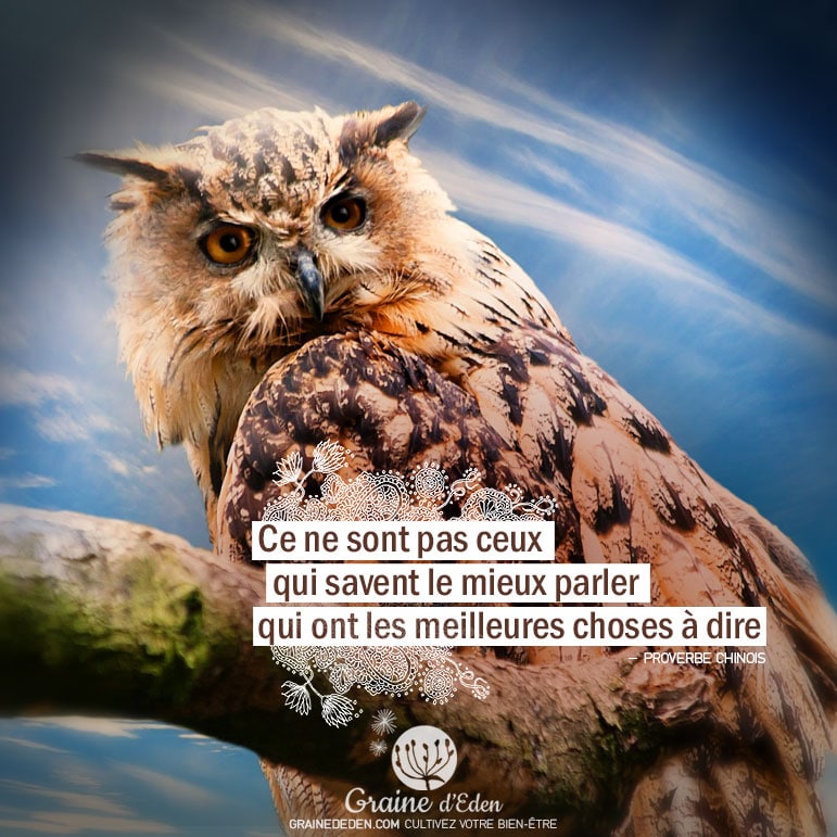 Ce ne sont pas ceux qui savent le mieux parler qui ont les meilleures choses à dire. PROVERBE CHINOIS - Graine d'Eden Citation