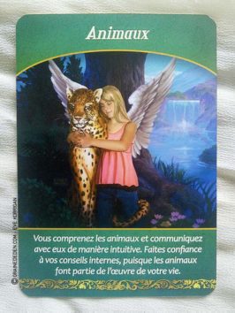 Les cartes Oracle Le Sens de la Vie de Doreen Virtue - Graine d'Eden Développement personnel, spiritualité, guidance, oracles et tarots divinatoires - La bibliothèque des Oracles