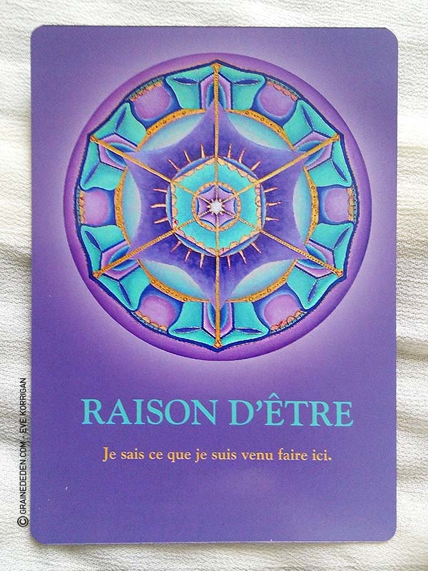 Les cartes Oracle Le Cheminement de l'Âme de James Van Praagh - Graine d'Eden Développement personnel, spiritualité, guidance, oracles et tarots divinatoires - La bibliothèque des Oracles