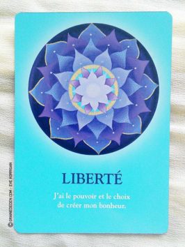 Les cartes Oracle Le Cheminement de l'Âme de James Van Praagh - Graine d'Eden Développement personnel, spiritualité, guidance, oracles et tarots divinatoires - La bibliothèque des Oracles