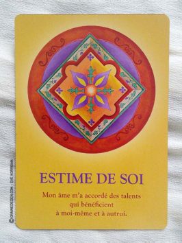 Les cartes Oracle Le Cheminement de l'Âme de James Van Praagh - Graine d'Eden Développement personnel, spiritualité, guidance, oracles et tarots divinatoires - La bibliothèque des Oracles