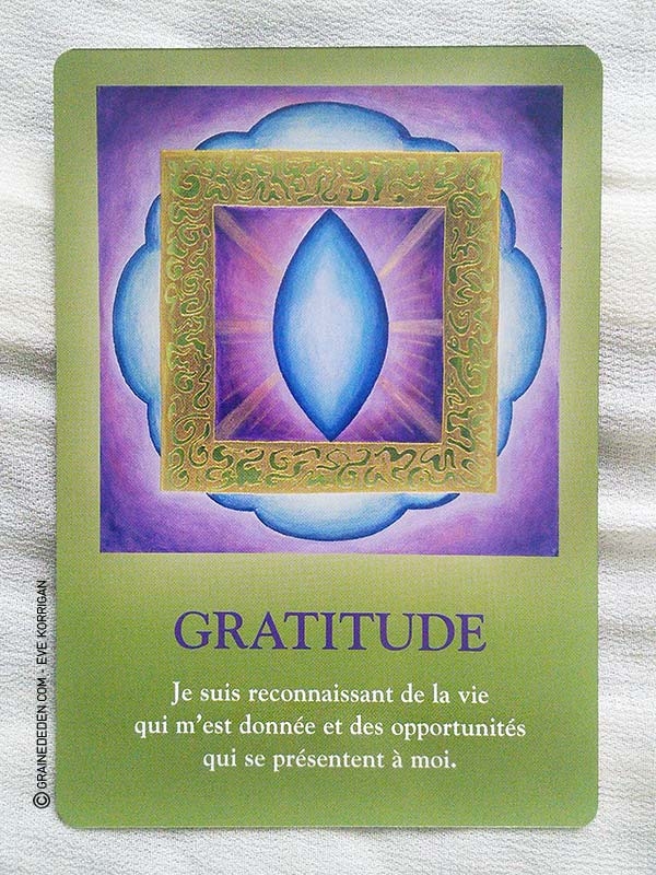 Le Petit Oracle de la Mission d'âme, Oracles Guidance & Développement  Personnel