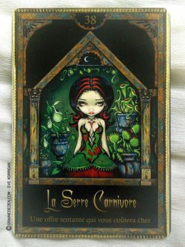 Oracle des êtres d'Ombre et de Lumière de Lucy Cavendish et Jasmine Becket-Griffith - Graine d'Eden Développement personnel, spiritualité, guidance, oracles et tarots divinatoires - La bibliothèque des Oracles