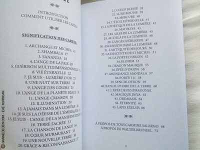 L'Oracle de l'Archange Michaël L'Ange Bleu de Toni Carmine Salerno - Graine d'Eden Développement personnel, spiritualité, guidance, oracles et tarots divinatoires - La bibliothèque des Oracles