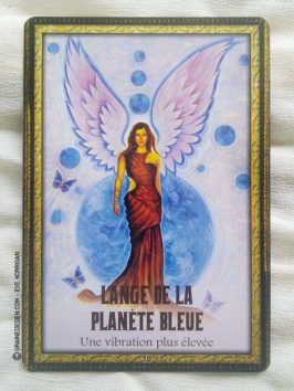 L'Oracle de l'Archange Michaël L'Ange Bleu de Toni Carmine Salerno - Graine d'Eden Développement personnel, spiritualité, guidance, oracles et tarots divinatoires - La bibliothèque des Oracles