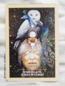L'Oracle des Rebelles Sacrés de Alana Fairchild - Graine d'Eden Développement personnel, spiritualité, guidance, oracles et tarots divinatoires - La bibliothèque des Oracles