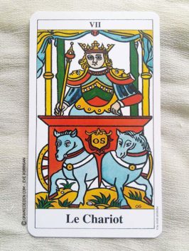 Le Tarot de Marseille de Johannes Fiebig et Evelin Buerger - Graine d'Eden Développement personnel, spiritualité, guidance, oracles et tarots divinatoires - La bibliothèque des Tarots