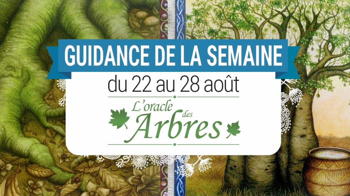 22 au 28 aout - Votre guidance de la semaine Les cartes de l'Oracle des Arbres de Jane Struthers - Graine d'Eden Tarots et Oracles divinatoires