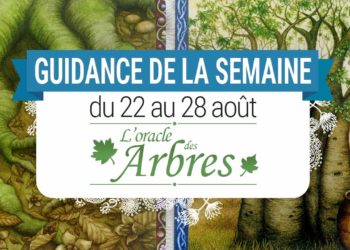 22 au 28 aout - Votre guidance de la semaine Les cartes de l'Oracle des Arbres de Jane Struthers - Graine d'Eden Tarots et Oracles divinatoires