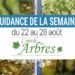 22 au 28 aout - Votre guidance de la semaine Les cartes de l'Oracle des Arbres de Jane Struthers - Graine d'Eden Tarots et Oracles divinatoires