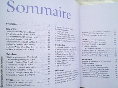 L'Oracle des Anges de Emilie Porte et Laure de Matharel - 72 Anges pour vous protéger - Graine d'Eden Développement personnel, spiritualité, guidance, oracles et tarots divinatoires - La bibliothèque des Oracles