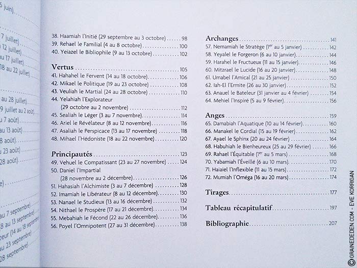 L'Oracle des Anges de Emilie Porte et Laure de Matharel - 72 Anges pour vous protéger - Graine d'Eden Développement personnel, spiritualité, guidance, oracles et tarots divinatoires - La bibliothèque des Oracles