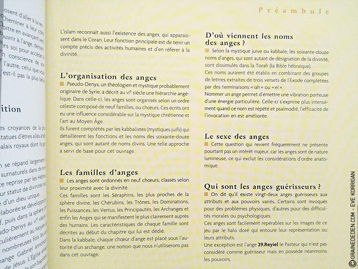 L'Oracle des Anges de Emilie Porte et Laure de Matharel - 72 Anges pour vous protéger - Graine d'Eden Développement personnel, spiritualité, guidance, oracles et tarots divinatoires - La bibliothèque des Oracles