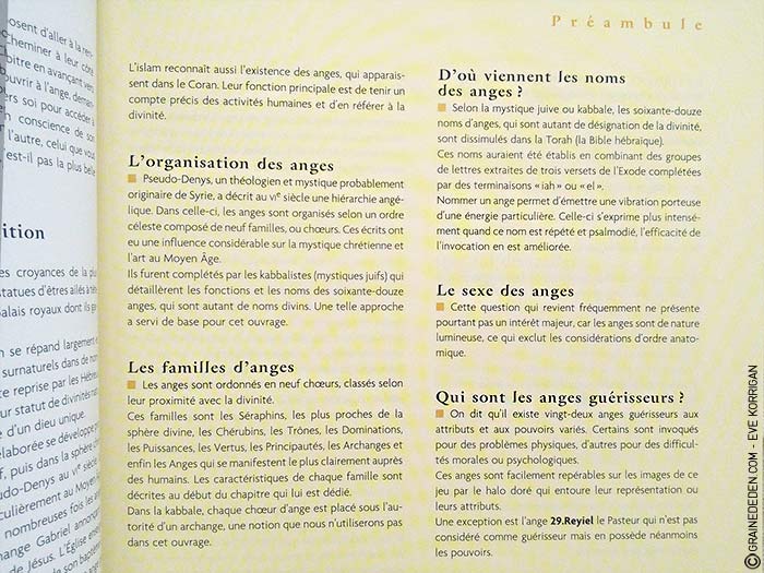 L'Oracle des Anges de Emilie Porte et Laure de Matharel - 72 Anges pour vous protéger - Graine d'Eden Développement personnel, spiritualité, guidance, oracles et tarots divinatoires - La bibliothèque des Oracles