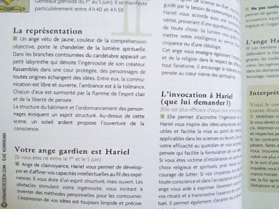 L'Oracle des Anges de Emilie Porte et Laure de Matharel - 72 Anges pour vous protéger - Graine d'Eden Développement personnel, spiritualité, guidance, oracles et tarots divinatoires - La bibliothèque des Oracles