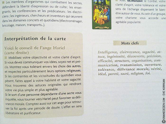 L'Oracle des Anges de Emilie Porte et Laure de Matharel - 72 Anges pour vous protéger - Graine d'Eden Développement personnel, spiritualité, guidance, oracles et tarots divinatoires - La bibliothèque des Oracles