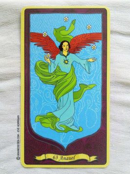 L'Oracle des Anges de Emilie Porte et Laure de Matharel - 72 Anges pour vous protéger - Graine d'Eden Développement personnel, spiritualité, guidance, oracles et tarots divinatoires - La bibliothèque des Oracles