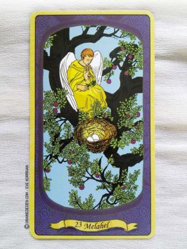 L'Oracle des Anges de Emilie Porte et Laure de Matharel - 72 Anges pour vous protéger - Graine d'Eden Développement personnel, spiritualité, guidance, oracles et tarots divinatoires - La bibliothèque des Oracles