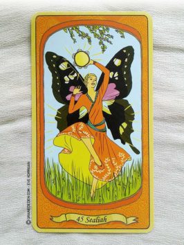 L'Oracle des Anges de Emilie Porte et Laure de Matharel - 72 Anges pour vous protéger - Graine d'Eden Développement personnel, spiritualité, guidance, oracles et tarots divinatoires - La bibliothèque des Oracles