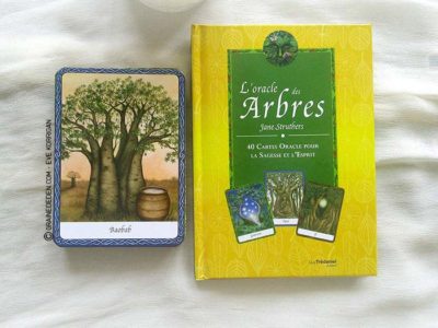 L'Oracle des Arbres de Jane Struthers - Graine d'Eden Développement personnel, spiritualité, guidance, oracles et tarots divinatoires - La bibliothèque des Oracles