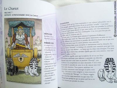 Review La Bible du Tarot de Sarah Bartlett - Graine d'Eden Développement personnel, spiritualité, guidance, livres, oracles et tarots divinatoires - La bibliothèque des Tarots