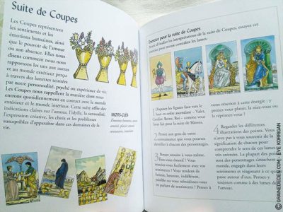 Review La Bible du Tarot de Sarah Bartlett - Graine d'Eden Développement personnel, spiritualité, guidance, livres, oracles et tarots divinatoires - La bibliothèque des Tarots