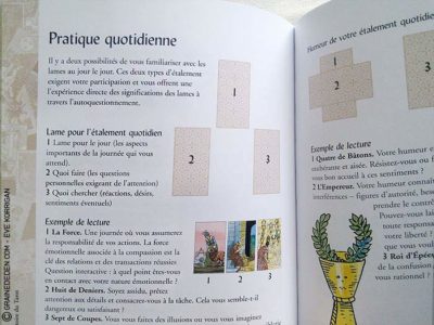 Review La Bible du Tarot de Sarah Bartlett - Graine d'Eden Développement personnel, spiritualité, guidance, livres, oracles et tarots divinatoires - La bibliothèque des Tarots