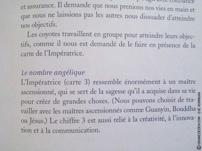 Le Tarot des Anges et Le Grand livre du Tarot des Anges de Doreen Virtue et Radleigh Valentine - Graine d'Eden Développement personnel, spiritualité, guidance, oracles et tarots divinatoires - La bibliothèque des Tarots