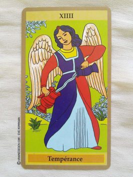 Le Tarot de Marseille Facile de Emilie Porte et Laure de Matharel - Graine d'Eden Développement personnel, spiritualité, guidance, oracles et tarots divinatoires - La bibliothèque des Tarots