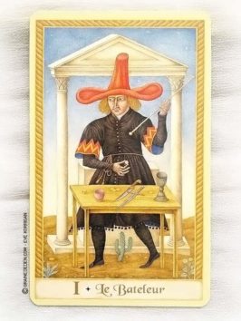 Le Tarot de Marseille de Emilie Porte et Jindra Čapek - Graine d'Eden Développement personnel, spiritualité, guidance, oracles et tarots divinatoires - La bibliothèque des Tarots