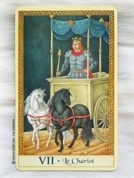 Le Tarot de Marseille de Emilie Porte et Jindra Čapek - Graine d'Eden Développement personnel, spiritualité, guidance, oracles et tarots divinatoires - La bibliothèque des Tarots